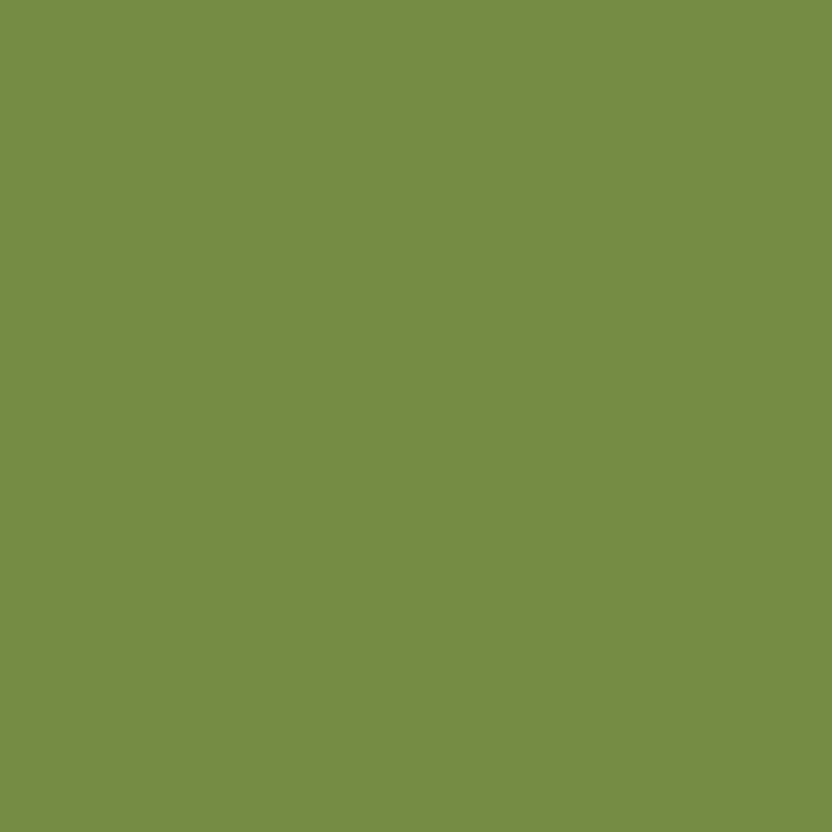 Corian Solid Surface - Blooming Green | Plastock